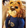 lionleo5